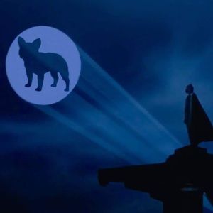 Meet your Posher, Lee